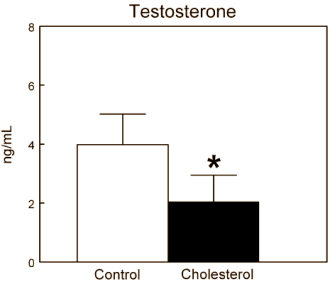Teveel cholesterol verlaagt testosteronspiegel in dierstudie
