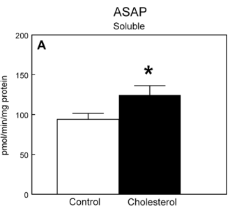 Teveel cholesterol verlaagt testosteronspiegel in dierstudie
