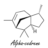 Alpha-cedrene, een volkomen nieuw soort anabool