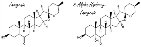 Laxogenine verlaagt vetpercentage, hydroxy-laxogenine vergroot spiermassa