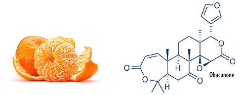 Obacunone, nomiline | Er zitten anabolen in citrusvruchten