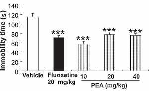 Palmitoyl-ethanolamide, (misschien) een antidepressivum met (vrijwel zeker) nauwelijks bijwerkingen