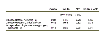 Vlierbessen-extract imiteert werking insuline