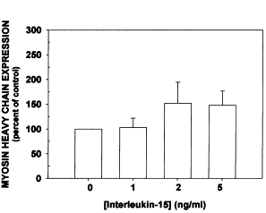 IGF-1 anabool voor jonge spiercellen, interleukine-15 voor oude