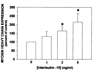 IGF-1 anabool voor jonge spiercellen, interleukine-15 voor oude