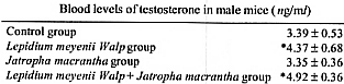 Lepidium meyenii verhoogt testosteronspiegel in dierstudie