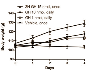 3N-GH gaat 24 keer langer mee dan regulier groeihormoon