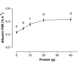 Optimale dosis eiwit na krachttraining is twintig gram