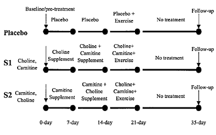 Humane studie: afslankcombo carnitine-choline werkt