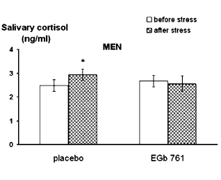 Ginkgocapsule verlaagt cortisolspiegel na stress