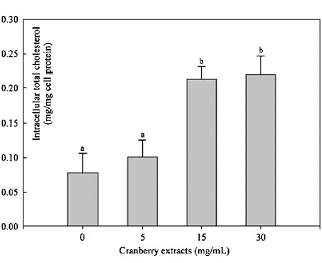 Door cranberries vist lever meer cholesterol uit je bloed