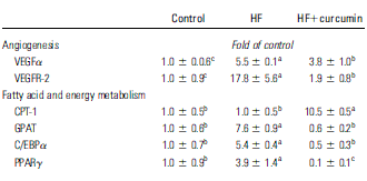 Antikatabool curcumin is ook metabole booster