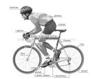 Leg-pressen voordat je gaat fietsen: zes procent sneller op de 20 km