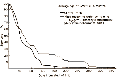 Als je jong-bejaarde maar gezonde labmuizen elke dag een beetje DMAE geeft, dan leven ze de helft langer dan labmuizen die geen DMAE toegediend krijgen. Dat blijkt uit een studie die in 1973 verscheen in Experimental Gerontology.