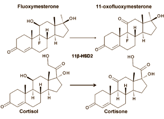 Halotestin is een cortisolbooster