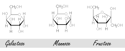 Mannose remt misschien prostaatkanker