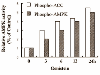 Genisteine, capsaicin en EGCG remmen vetcel via AMPK