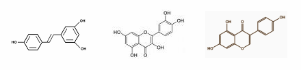 Het gezamenlijke antivetzuchteffect van genisteine, resveratrol en quercetine