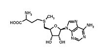 S-adenosyl-methionine