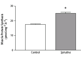 Spirulina jaagt anabolisme meer op dan caseine