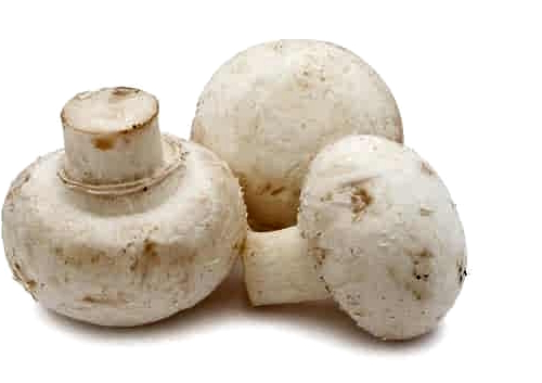 Poeder van gedroogde champignons vergroot gevoeligheid voor insuline, vermindert vetmassa
