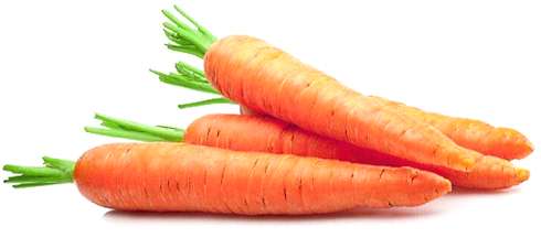 Alpha-caroteen, de levensverlenger in wortels