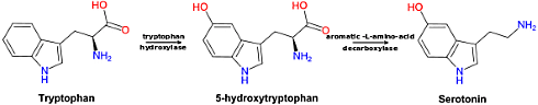 Supplement met tryptofaan maakt dominant