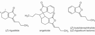 Angelica sinensis vergroot uithoudingsvermogen en spierkracht
