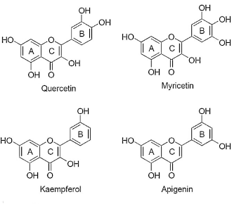 Apigenine, het plantaardige anabool in peterselie
