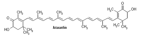 Astaxanthine, een supplement tegen rimpels