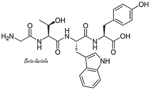 Beta-lactoline, de breinbooster in camembert