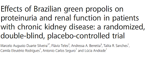 De beschermende factor van Braziliaanse propolis bij chronische nierziekte