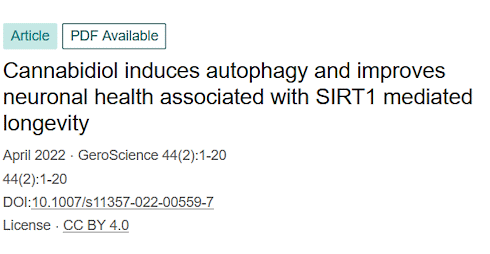 Cannabidiol is misschien een longevity-supplement