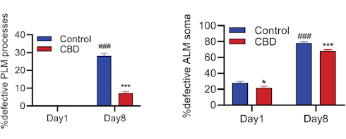 Cannabidiol is misschien een longevity-supplement