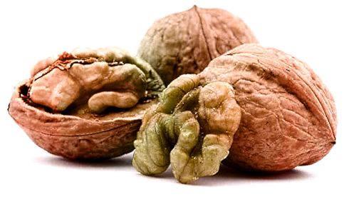 Met elk handje walnoten dat je dagelijks eet, halveert je kans op diabetes