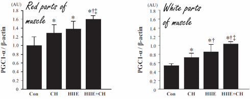 Chlorella versterkt effect intervaltraining