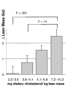 Cholesterol helpt trainende ouderen aan meer spiermassa