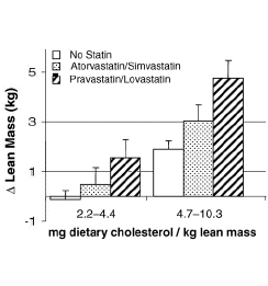 Cholesterol helpt trainende ouderen aan meer spiermassa