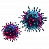 Remmen NO-boosters het coronavirus?