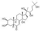Laxogenin en 5-hydroxy-laxogenin: natuurlijke anabolen die de werking van de echte anabole steroïden versterken