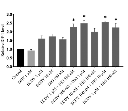 Ecdysteron en diosgenine versterken elkaars anabole werking