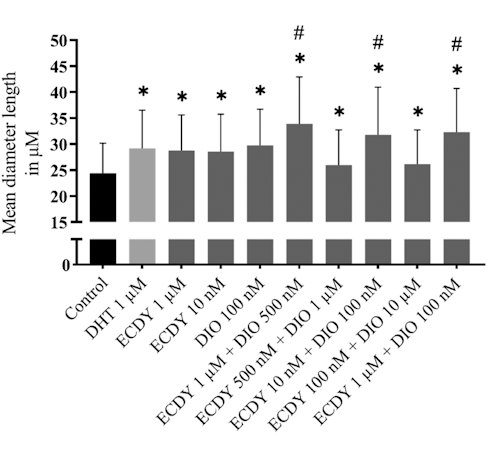 Ecdysteron en diosgenine versterken elkaars anabole werking