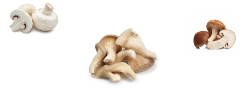 Eet paddenstoelen en leef langer