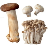 Eetbare paddenstoelen houden huid jong