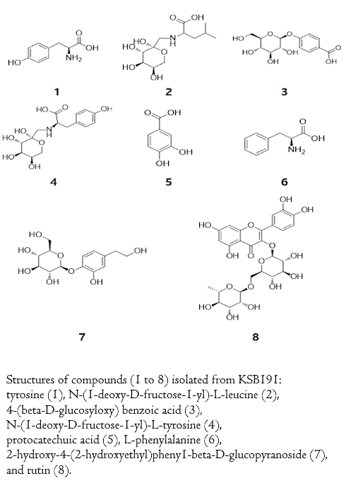 Is fructosyl-leucine de testosteronverhoger in vlierbes?