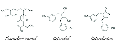 Eetlepel lijnzaad reduceert menopauzale klachten | Trial