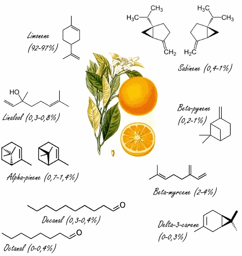 Aromatherapie met sinaasappelolie versnelt misschien genezing PTSD
