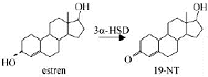 4-Estren-diol wordt nandrolon