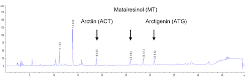 Arctigenine | Deze stof in Grote Klis blokkeert coronavirussen