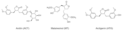 Arctigenine | Deze stof in Grote Klis blokkeert coronavirussen